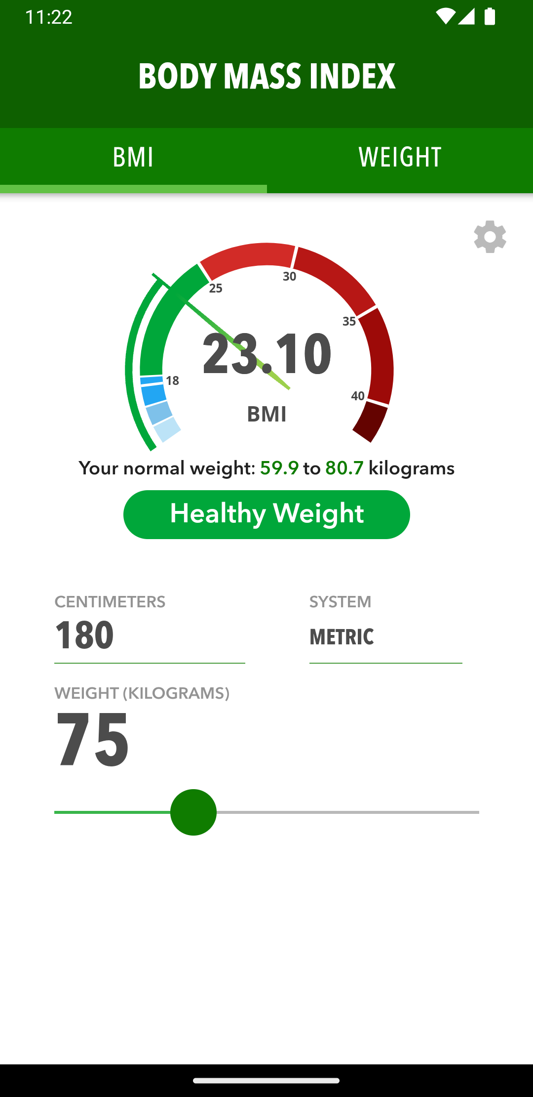 Pratite BMI i težinu